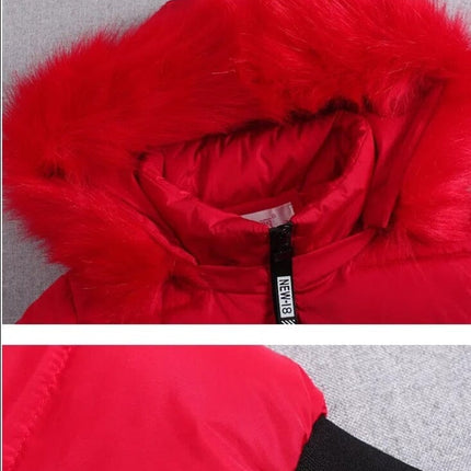 Chaqueta bómber de mujer